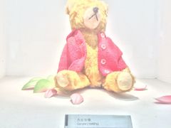 -成都泰迪熊博物馆