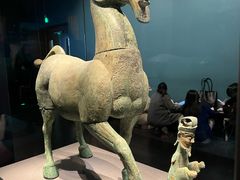 -广西壮族自治区博物馆