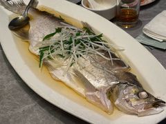太湖白水鱼-锦江都城闵行饭店