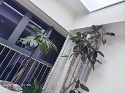 -HEYAN荷妍专业脱毛连锁机构