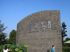 -秀丽东方