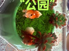 -华浜二村