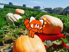 -长春农业博览园