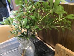-THE WOODS 简餐 (国贸商城店)