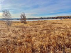 -塞罕坝国家级自然保护区