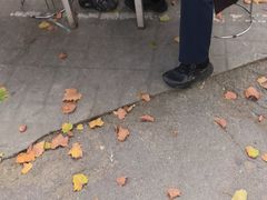 -三百碗宝应长鱼面(板仓街店)