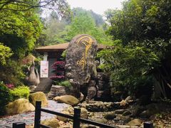 -明月山天沐温泉度假村