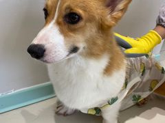 -怪兽屋·羊驼·猫咖·狗咖(俊华广场店)