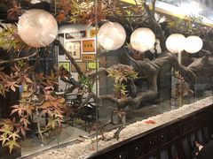 -瓷器(Market City)
