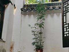 -月栖华明-云间草堂清茶馆(泗泾古镇店)