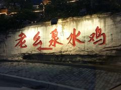 -老幺泉水鸡