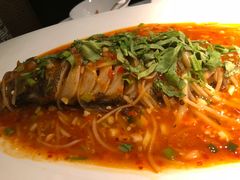 -雀蓝川菜(奥体广场店)