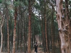 -龙洞风景区-藏龙涧