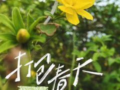 -九华山(地铁站)