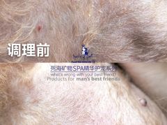 -汪小喵宠物·戴维斯乐芳希施宠馨宝皮毛调理洗护店