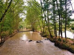 -桤木河湿地公园