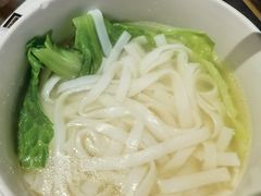 -MR鹅外