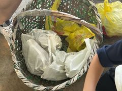 -马陆小张葡萄园农家乐