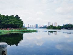 -南宁南湖公园