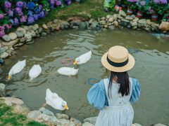 -HERRE·FARM 赫尔露营农场·团建聚会包场