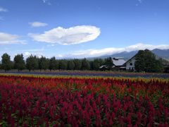 -富田农场
