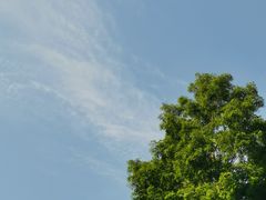 -浙江大学(玉泉校区)