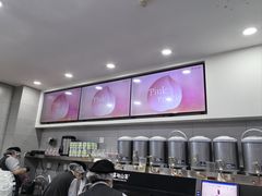 -雾与山茶(大禹城店)
