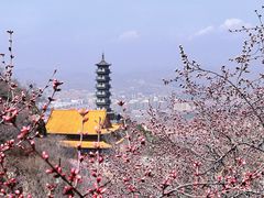 -鸡鸣山旅游风景区