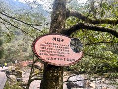 -西岭雪山大飞水景区