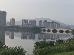 -飞来湖湿地公园