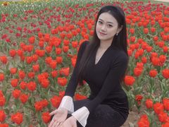 -金卉庄园