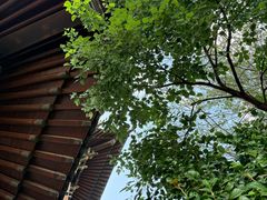 -杭州半山国家森林公园