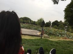 -美兰湖景区