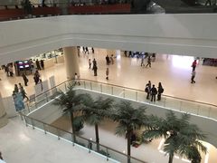 -中国人民解放军总医院(301医院)
