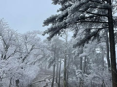 -湖州龙王山景区