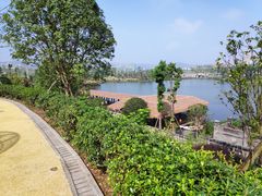 -枫香湖儿童公园