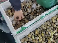 -王四营海鲜市场