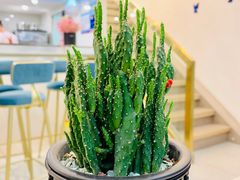-桃梨花香(柳工颐华城店)