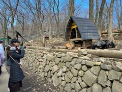 -宫城藏王狐狸村