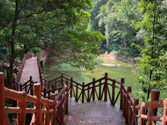 -广州市石门国家森林公园