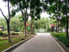 -后襄河公园