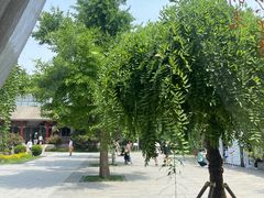 -北京鲁迅博物馆(北京新文化运动纪念馆鲁博馆区)