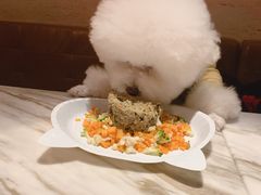 -the rug 飞毯 (朝阳公园店)