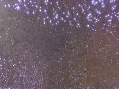 -峨眉山世纪阳光大酒店(峨眉高铁站店)