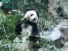 景点-北京动物园