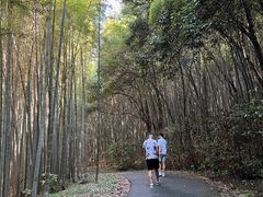 -苏州环秀晓筑养生度假村