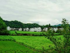 -祁门牯牛降观音堂风景区