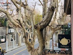 -古董花园(思南路42弄小区店)
