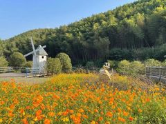 -宁波浙东大竹海景区