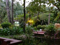 -三亚珠江南田温泉度假区